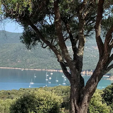 4 Personnes - Solea 224 - Vue Nature Apartment